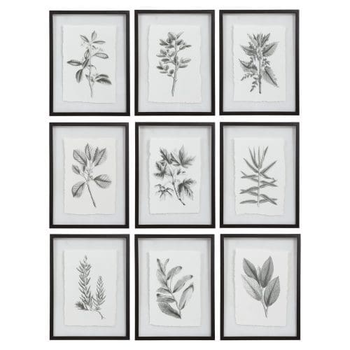 Uttermost Farmhouse Florals Framed Prints, S/9